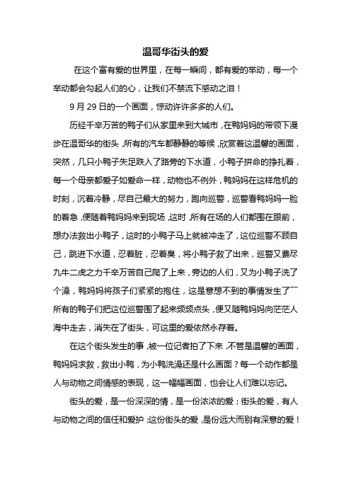 六年级作文：温哥华街头的爱作文600字