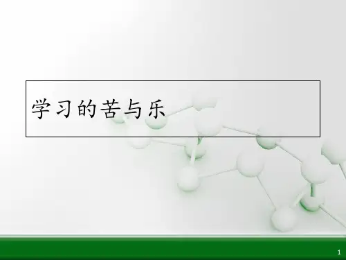 学习的苦与乐 ppt课件