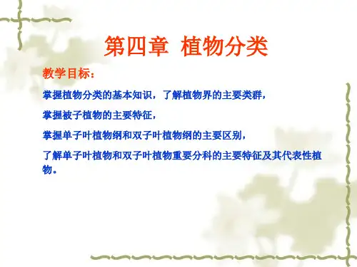 植物与植物生理_第四章_植物分类PPT课件
