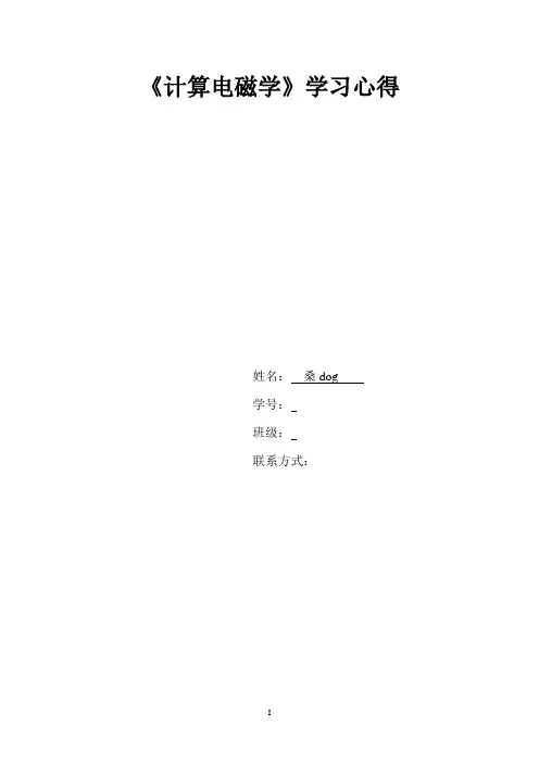 计算电磁学结课论文