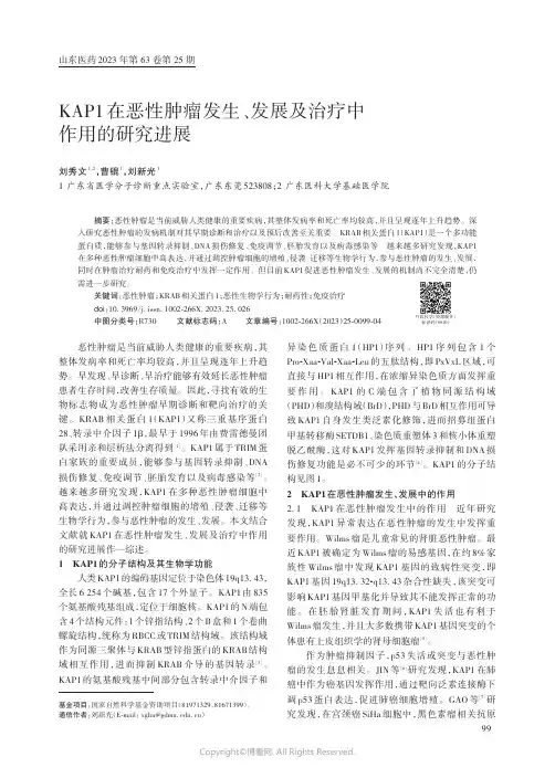 KAP1在恶性肿瘤发生、发展及治疗中作用的研究进展