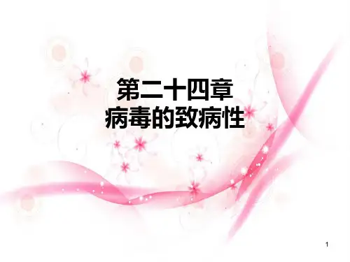 病毒的致病性ppt课件