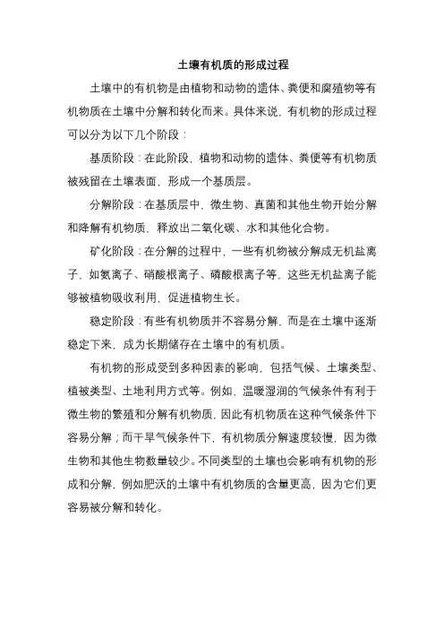 土壤有机质的形成过程