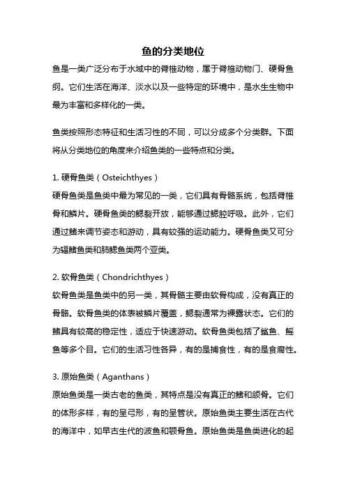 鱼的分类地位