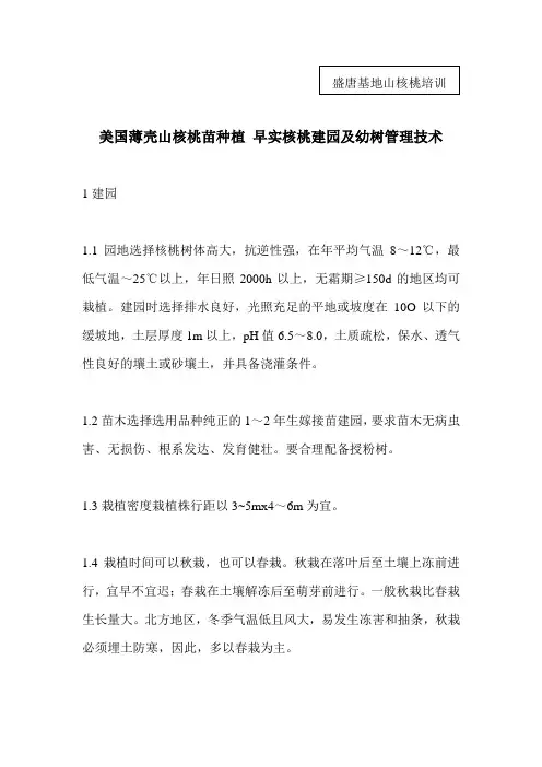 美国薄壳山核桃苗种植_早实核桃建园与幼树管理技术