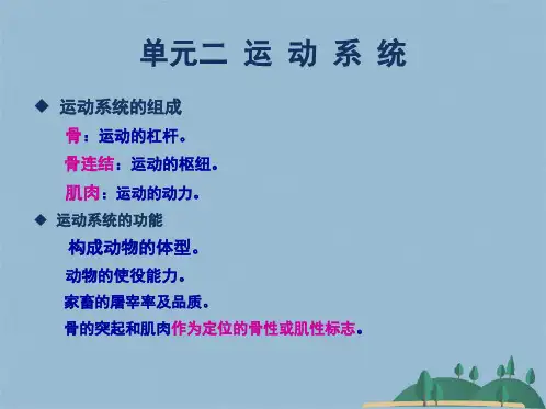 动物解剖生理 运动系统(共118张PPT)