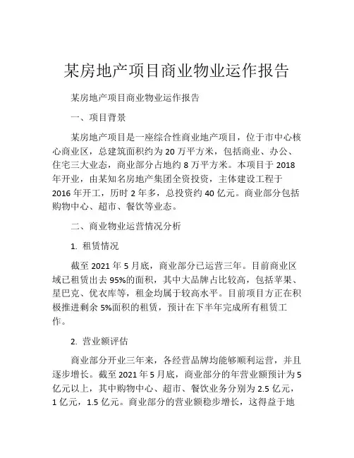 某房地产项目商业物业运作报告