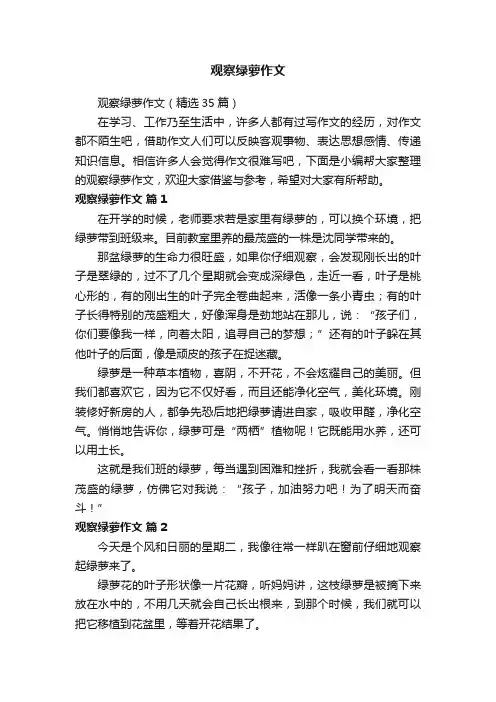 观察绿萝作文（精选35篇）