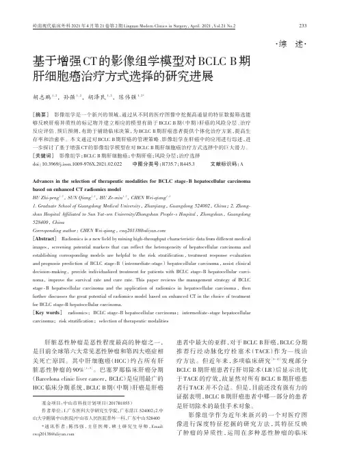 基于增强CT的影像组学模型对BCLC B期肝细胞癌治疗方式选择的研究进展