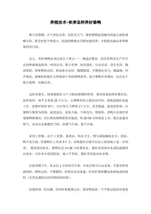 养殖技术-秋季怎样养好雏鸭