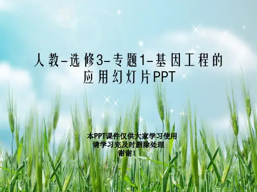 人教-选修3-专题1-基因工程的应用幻灯片PPT