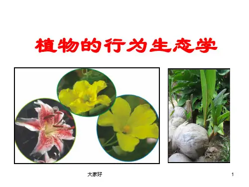 分子生态学-植物的行为生态学-PPT