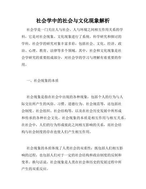社会学中的社会与文化现象解析