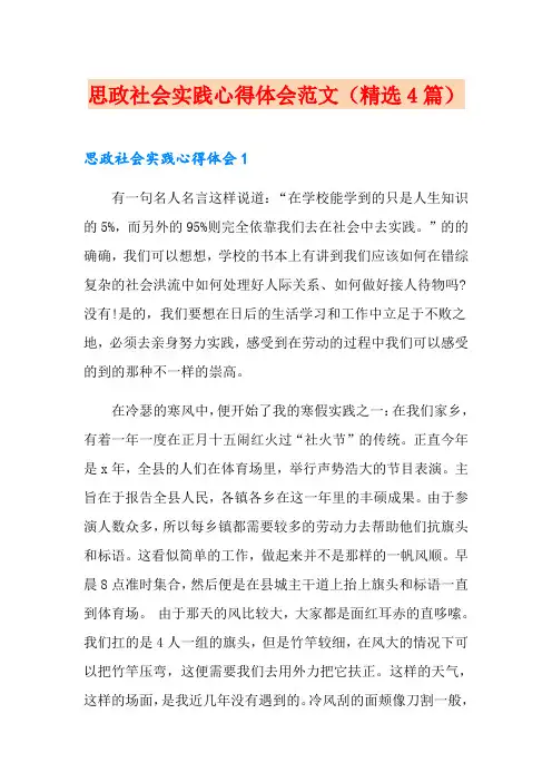 思政社会实践心得体会范文(精选4篇)