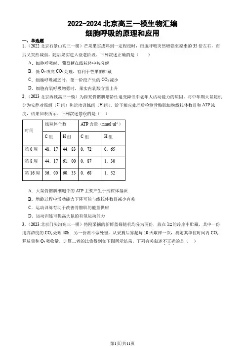 2022-2024北京高三一模生物汇编：细胞呼吸的原理和应用