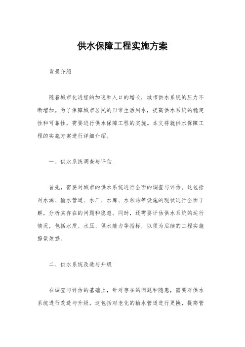 供水保障工程实施方案