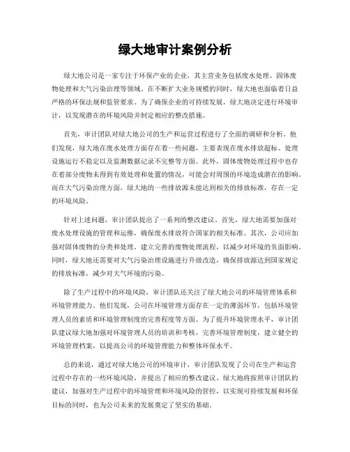 绿大地审计案例分析