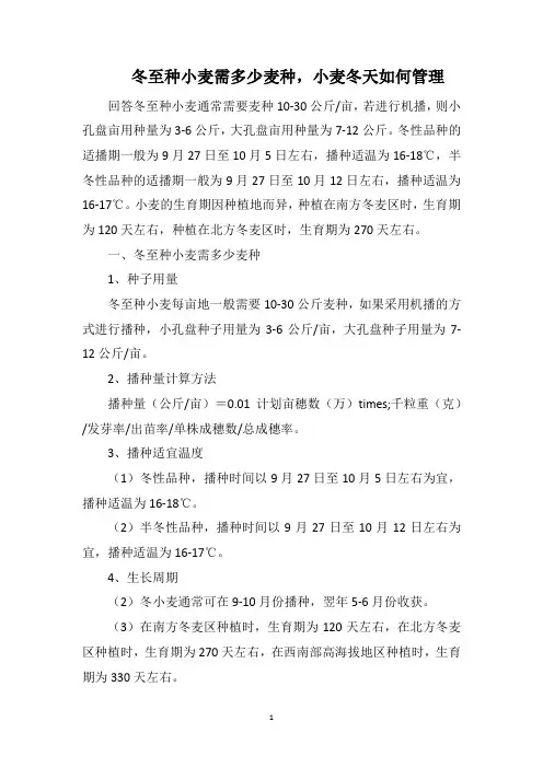 冬至种小麦需多少麦种,小麦冬天如何管理