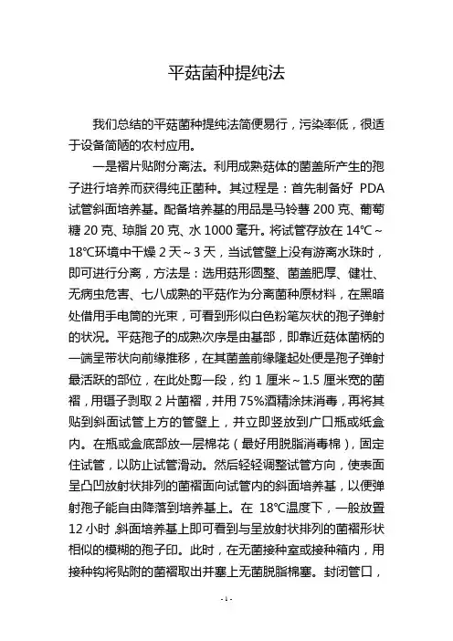 平菇菌种提纯法
