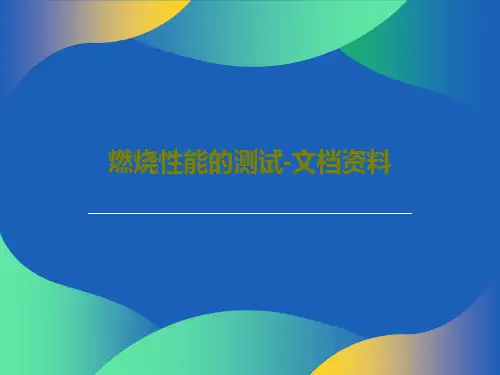 燃烧性能的测试-文档资料26页PPT