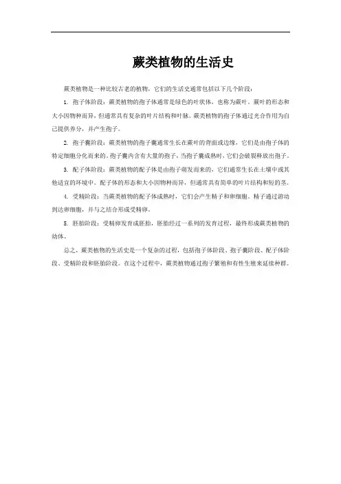 蕨类植物的生活史