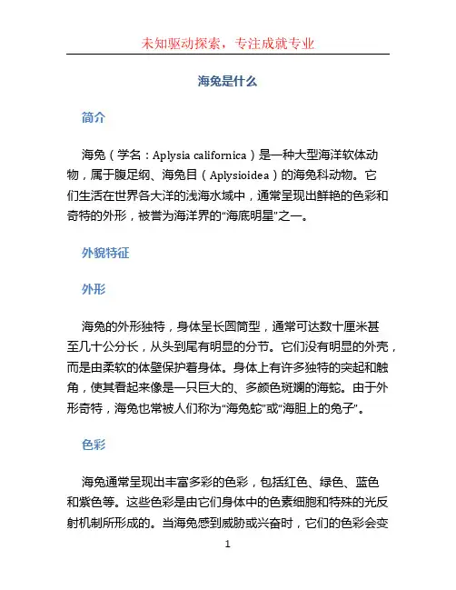 海兔是什么 (2)