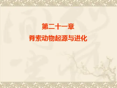 动物起源与进化