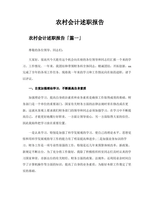 农村会计述职报告