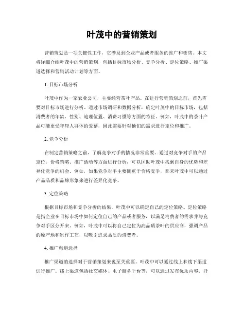 叶茂中的营销策划