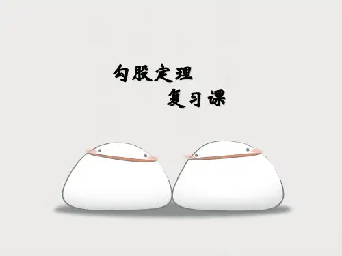 新人教版八年级数学下册第17章《勾股定理复习》公开课课件