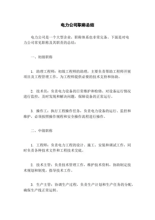 电力公司职称总结