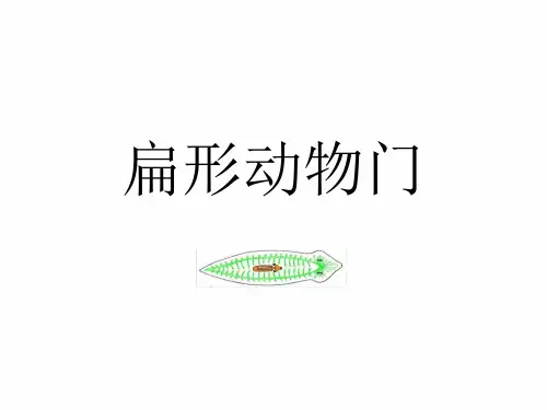 《动物学》课件——扁形动物