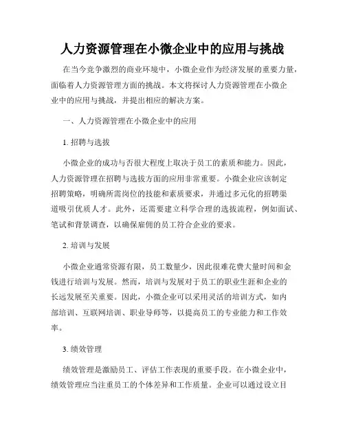人力资源管理在小微企业中的应用与挑战