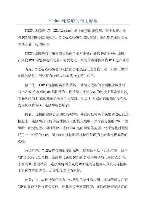 t4dna连接酶的作用原理