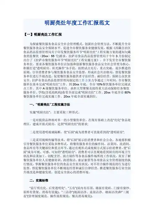 明厨亮灶年度工作汇报范文