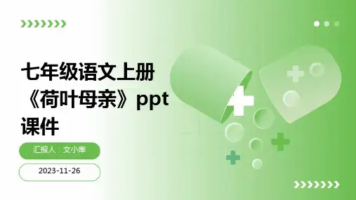 七年级语文上册《荷叶母亲》ppt课件
