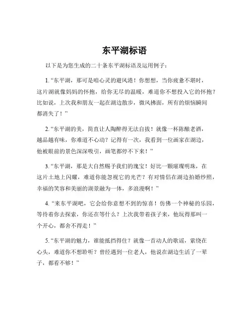 东平湖标语