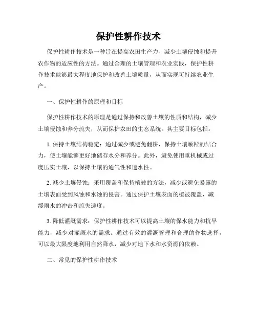 保护性耕作技术