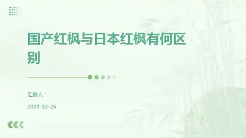 国产红枫与日本红枫有何区别