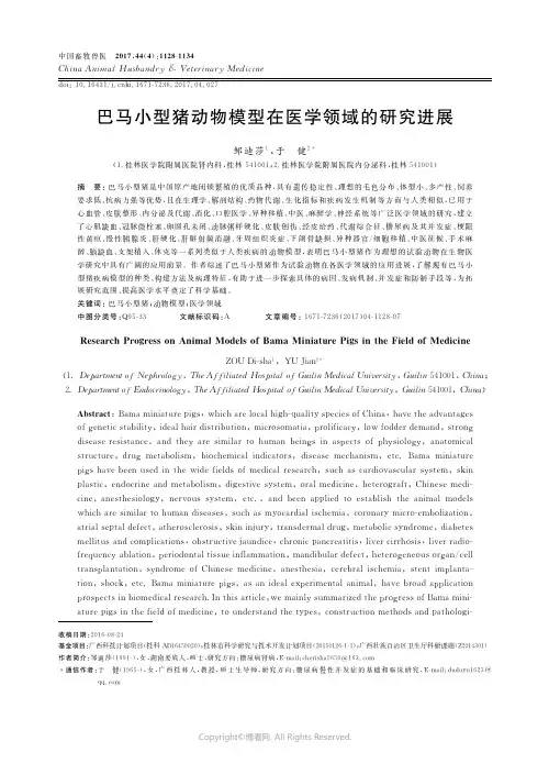 巴马小型猪动物模型在医学领域的研究进展