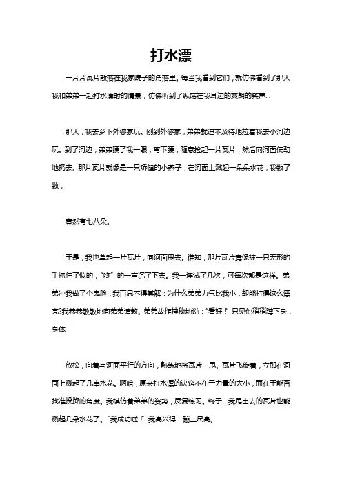 打水漂真有趣作文