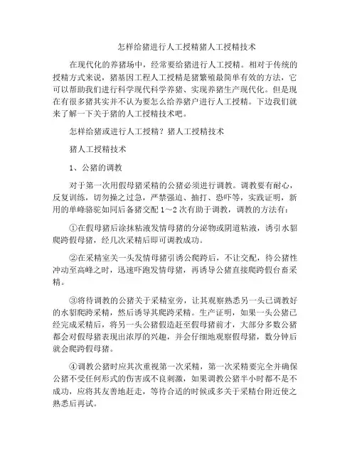 怎样给猪进行人工授精猪人工授精技术