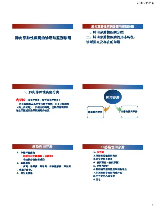肺肉芽肿性疾病的诊断与鉴别诊断