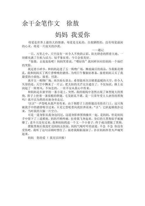 余干金笔作文  徐敖