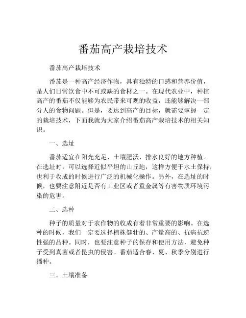 番茄高产栽培技术