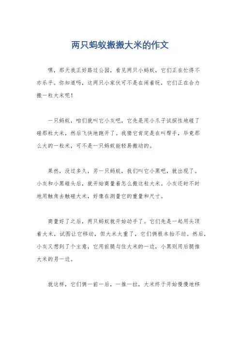 两只蚂蚁搬搬大米的作文