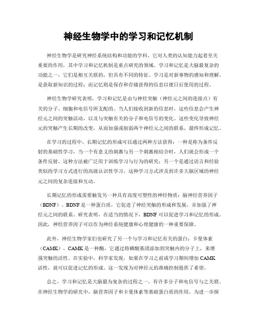 神经生物学中的学习和记忆机制