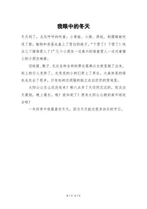我眼中的冬天_二年级作文