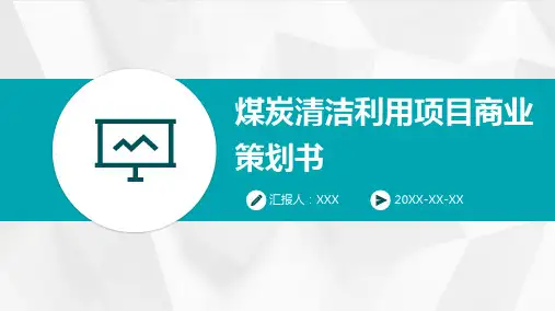 煤炭清洁利用项目商业策划书