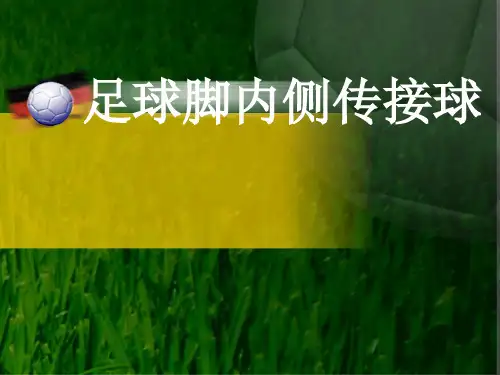 体育课件足球脚内侧传接球